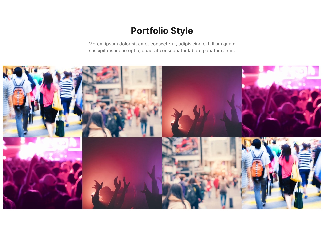 Portfolio Style 5